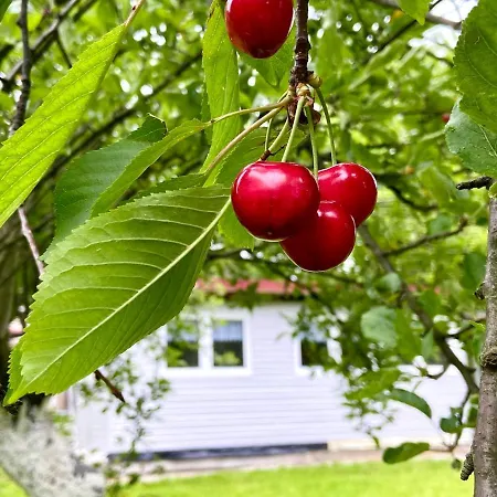 Semesterbostad Dziki Sad *