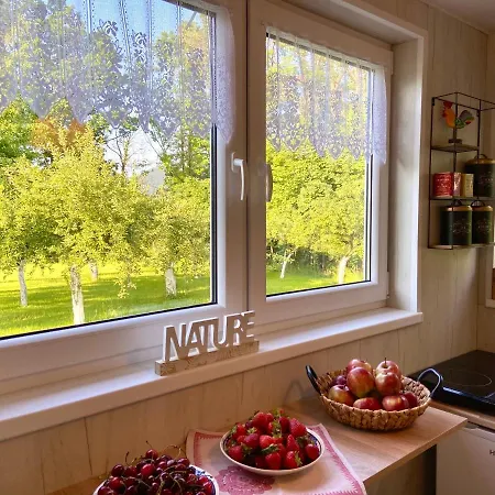 Dziki Sad Ferienhaus Ustron