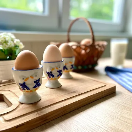 Dziki Sad Semesterbostad