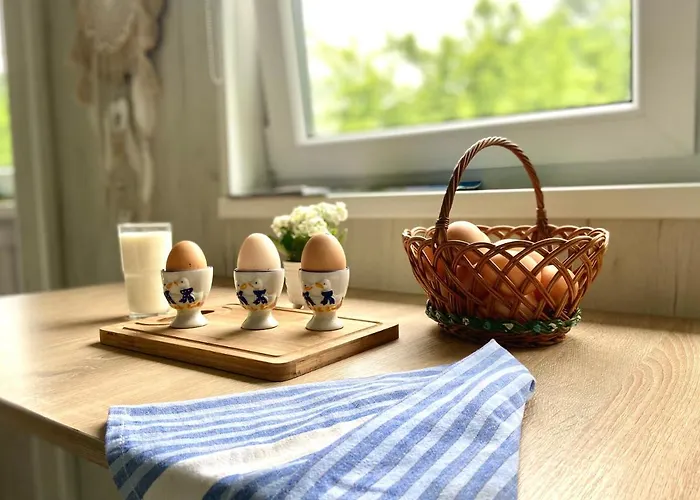 Dziki Sad * ウストロン