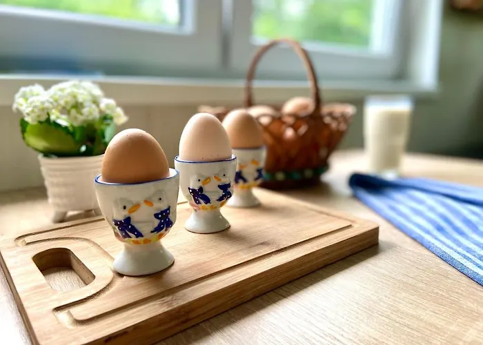 Dziki Sad Holiday home